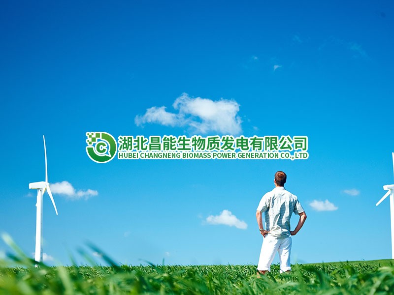 湖北昌能生物質(zhì)發(fā)電有限公司